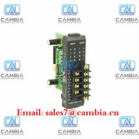 GE FANUC	IC697CGR772